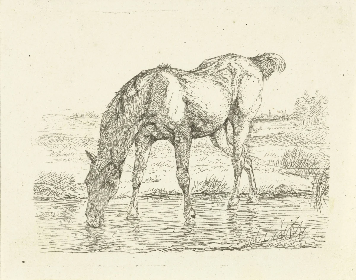 Drinkend paard by Jan Dasveldt, print, 1780-1855