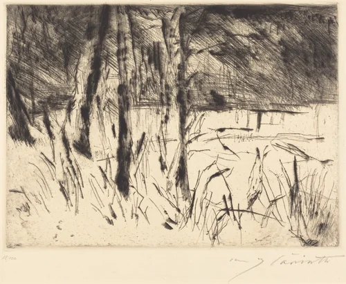 Tiergarten (Zoological Garden) by Lovis Corinth, print, 1922