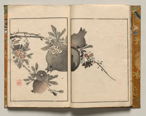 Pomegranate, Design Six from Shazanrō Picture Book by Tani Bunchō (谷文晁), book, 1816