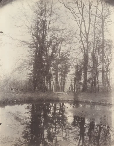 Parc de Sceaux by Eugène Atget, photograph, 1925