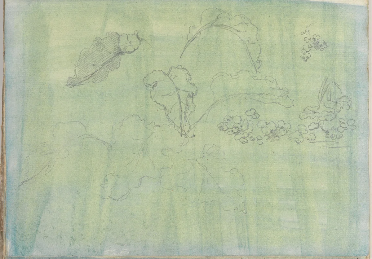 Carved panel and border ornament (recto). Sketches of leaves (verso) (Smaller Italian sketchbook, leaf 21) by Joseph Wright, drawing, 1774-1775