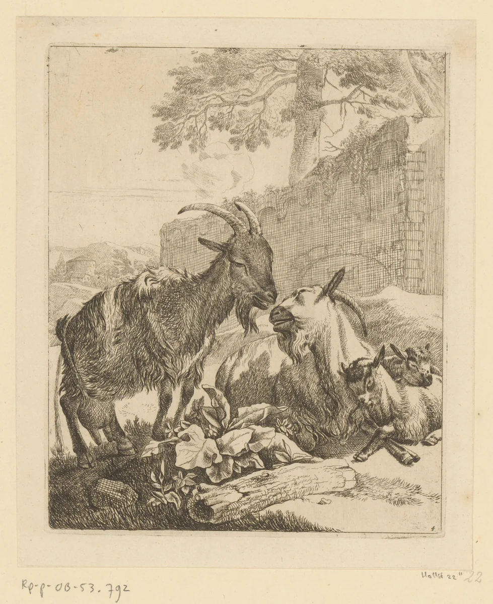 Staande en liggende geit met twee jongen by Johann Heinrich Roos, print, 1668-1670