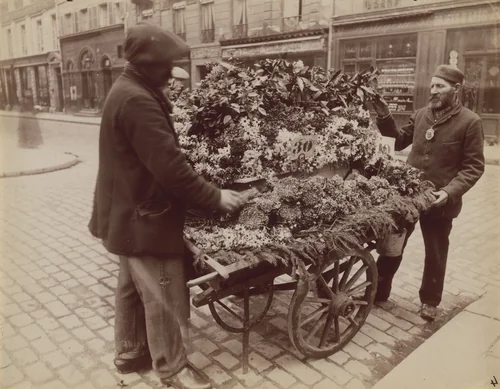 Untitled by Eugène Atget, photograph