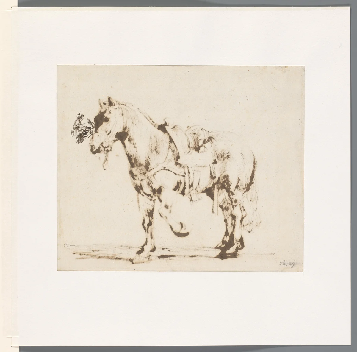 Studie van paardenoog by Govert Flinck, drawing, 1640-1643