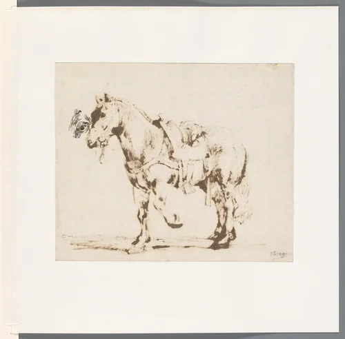 Studie van paardenoog by Govert Flinck, drawing, 1640-1643