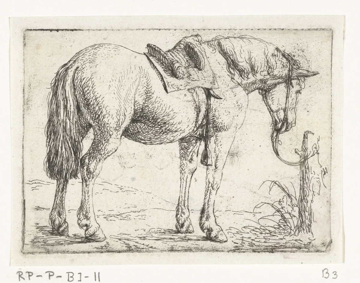 Paard met zadel by Jan van Aken, print, 1624-1661