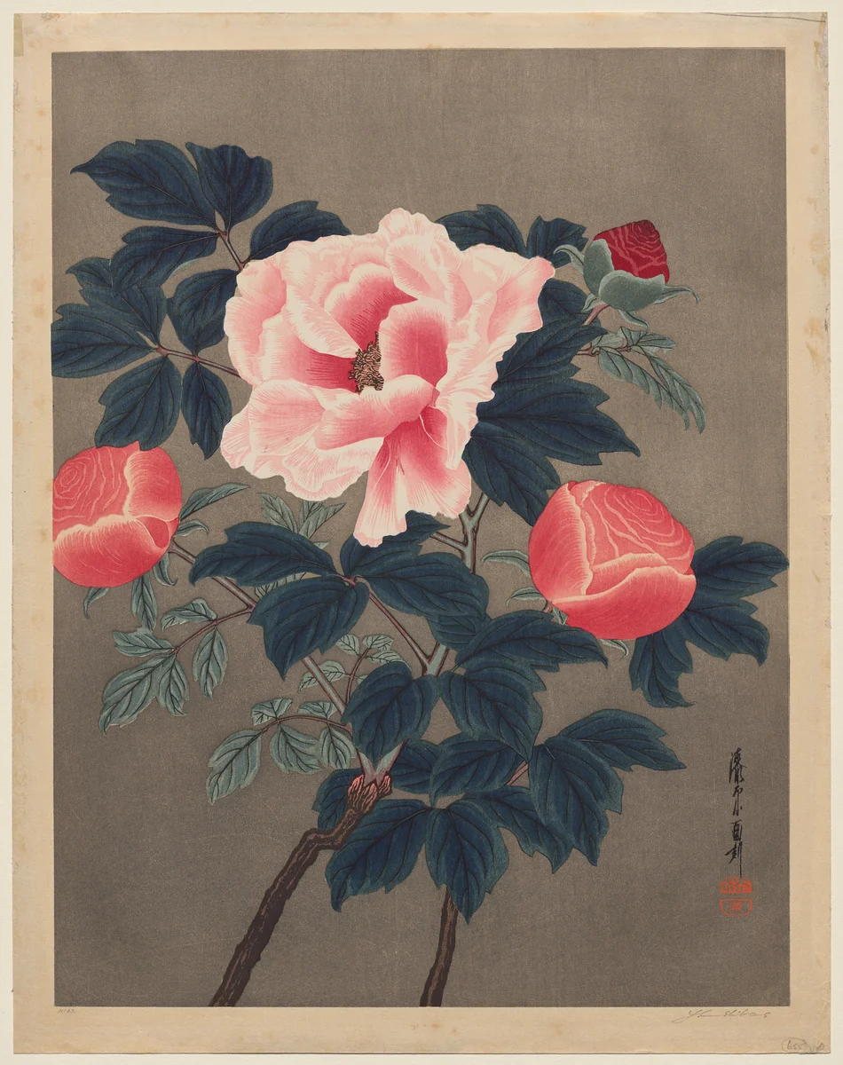 Peonies by Yoshijiro Urushibara, print, 1900-1940