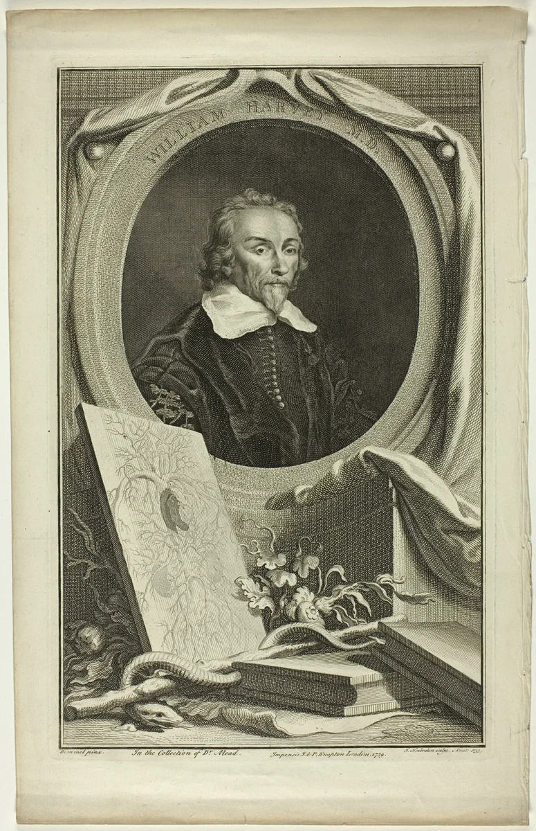 William Harvey, M.D. by Jacobus Houbraken, print, 1739