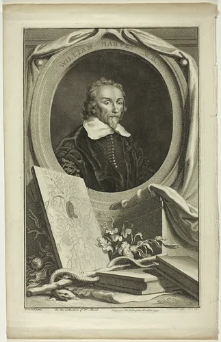 William Harvey, M.D. by Jacobus Houbraken, print, 1739