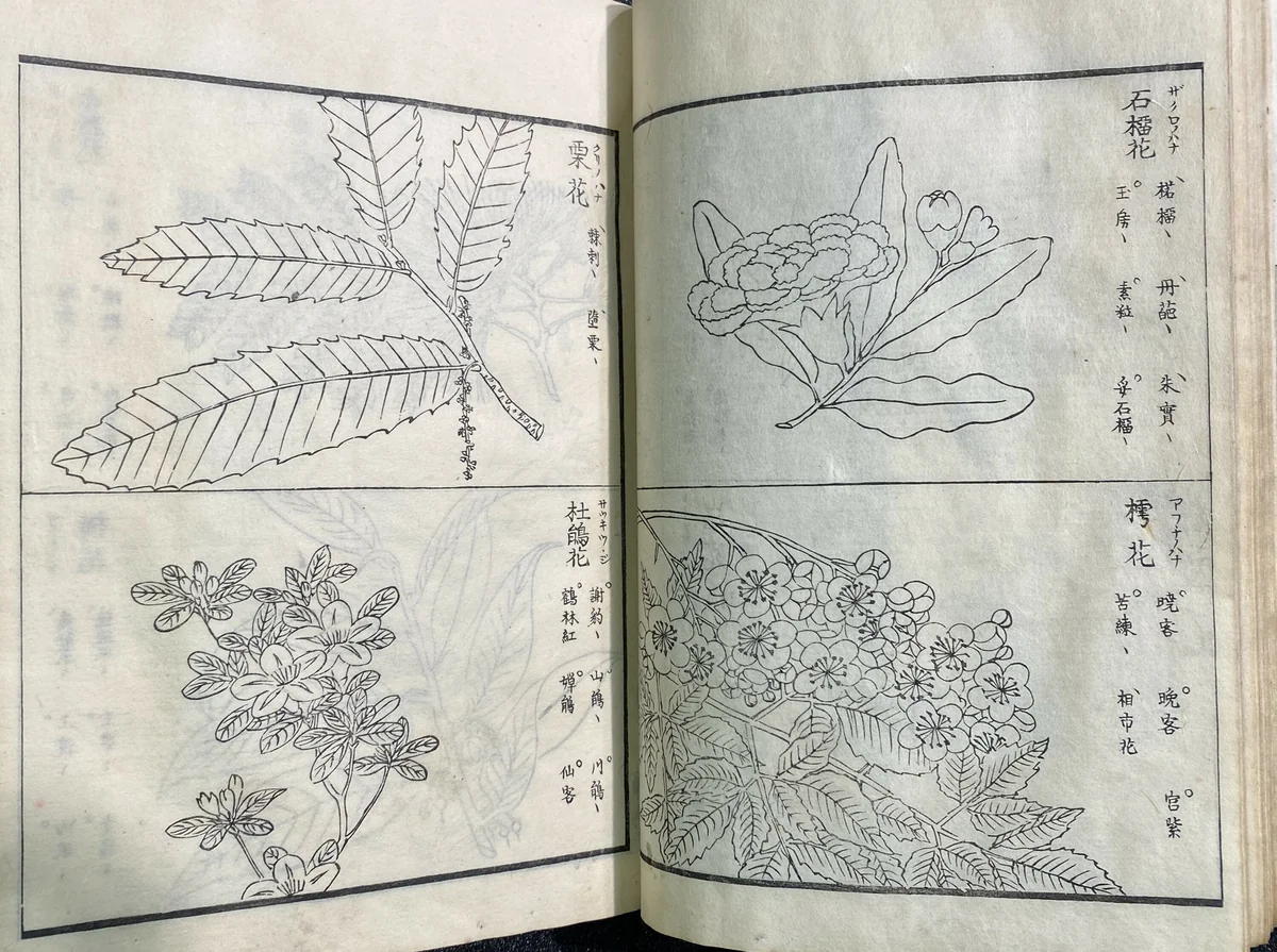 Haikai Kikizuko (Pictures of Seasonal Subjects for Haiku) by Baishiken Shiho, artwork, 1615-1868