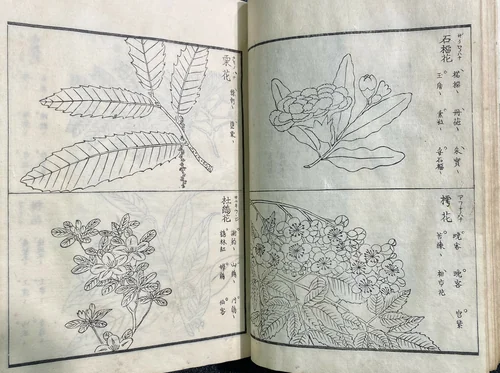 Haikai Kikizuko (Pictures of Seasonal Subjects for Haiku) by Baishiken Shiho, artwork, 1615-1868