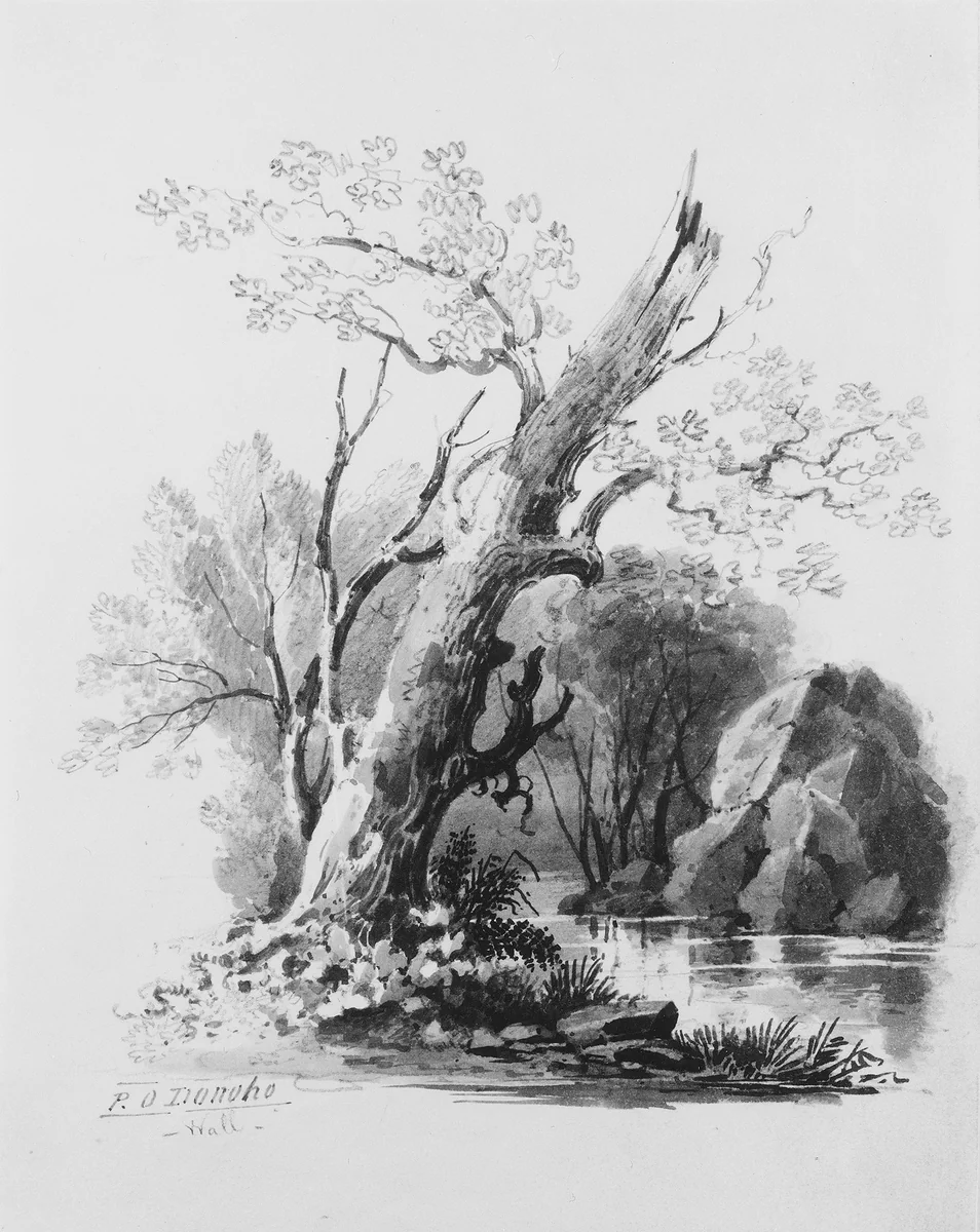 Forest Grove by William Guy Wall, artwork, 1792-1864