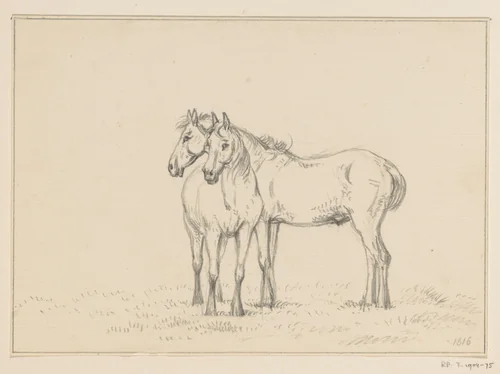 Twee bij elkaar staande paarden by Jean Bernard, drawing, 1816