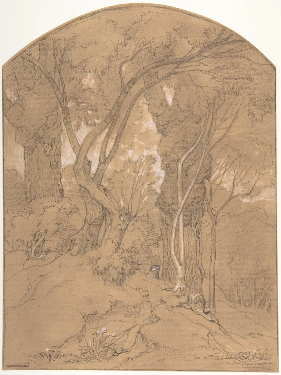Trees in a Forest by Edouard Bertin, drawing, 1800-1880