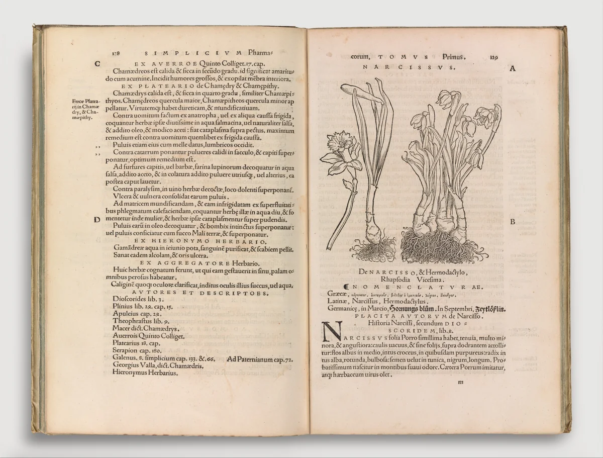 Herbarum vivae eicones by Otto Brunfels, book, 1530