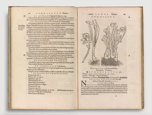 Herbarum vivae eicones by Otto Brunfels, book, 1530