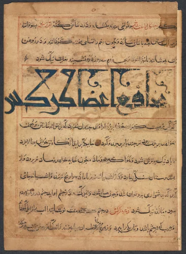 "Benefits of the Parts of Vultures" (From the Manafi' al-Haywan of Abu Sai'd Ubayd-Allay Ibn Bakhtishu) by Unknown, manuscript, 1294-1299