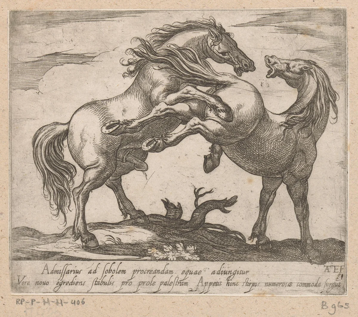 Twee parende paarden by Unknown, print, 1590