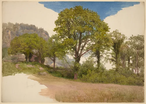 Trees Profiled against the Sky by John Henry Hill, drawing, 1865
