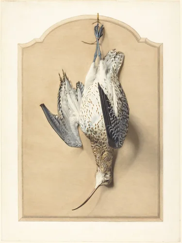 Trompe l'Oeil: A Curlew Hanging from a Nail by Édouard Traviès, drawing, 1850