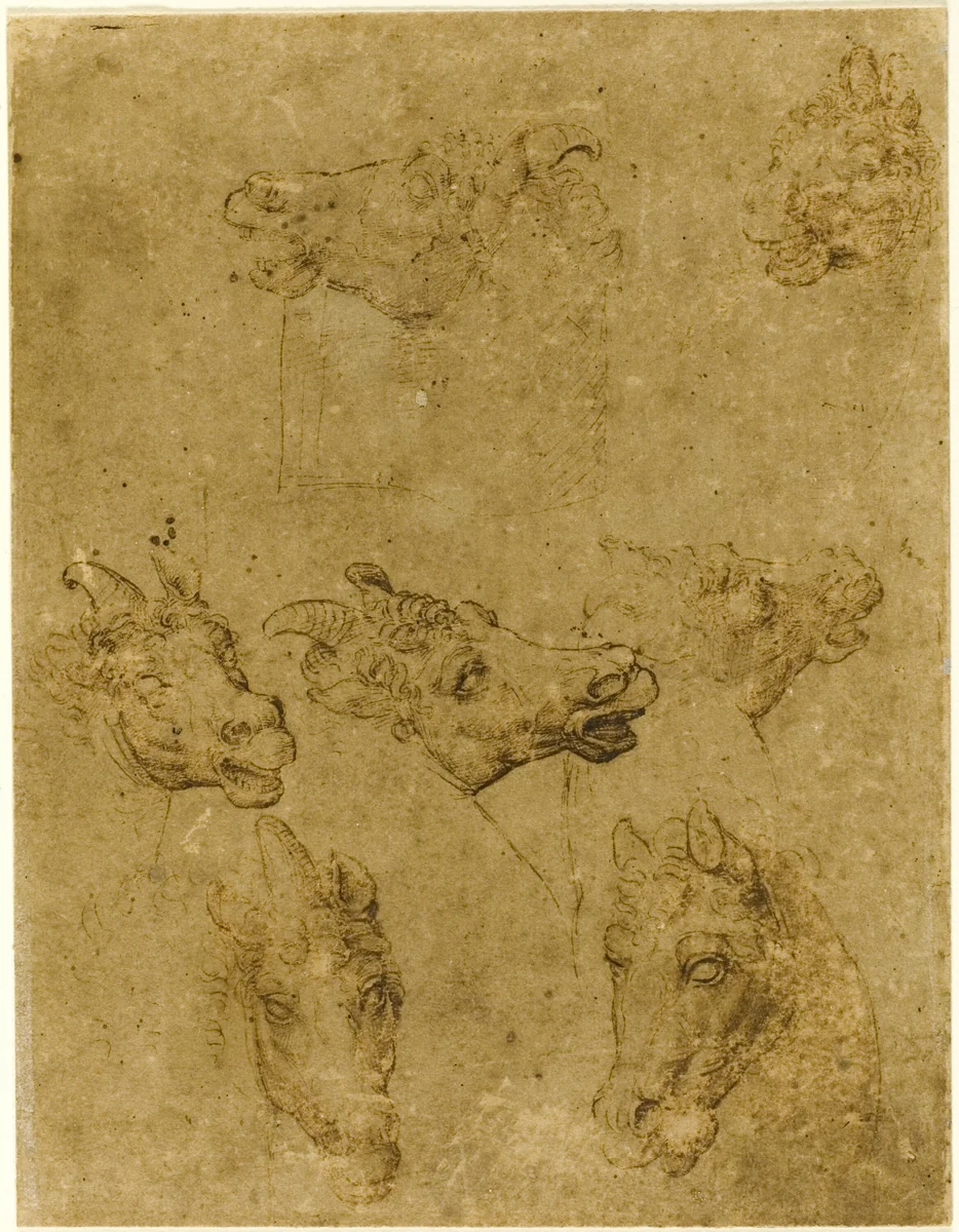 Heads of Horses and Unicorns by Leonardo da Vinci, drawing, 1530-1540