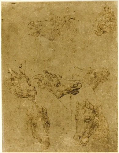 Heads of Horses and Unicorns by Leonardo da Vinci, drawing, 1530-1540