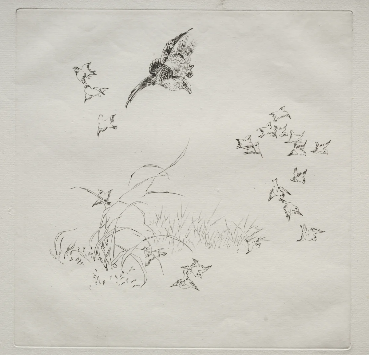 Parisian Service (Haviland service): The Terror (no. 4) by Félix Bracquemond, print, 1875