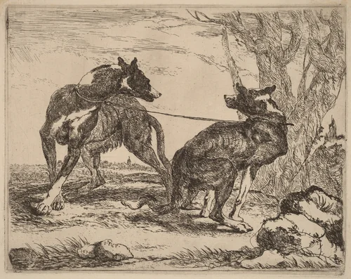 Two Greyhounds, Leashed and Facing Each Other by Jan Fyt, print, 1642