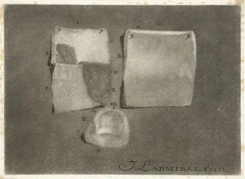 Anatomische studie van menselijke huid en nagel by Jan l' Admiral, print, 1737