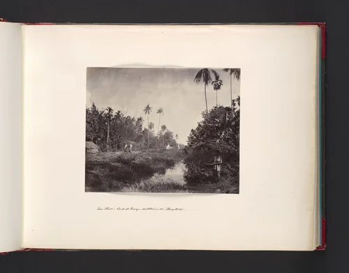 New Home, Back of Foreign Settlement, Bangkok by John Thomson, photograph, 1865