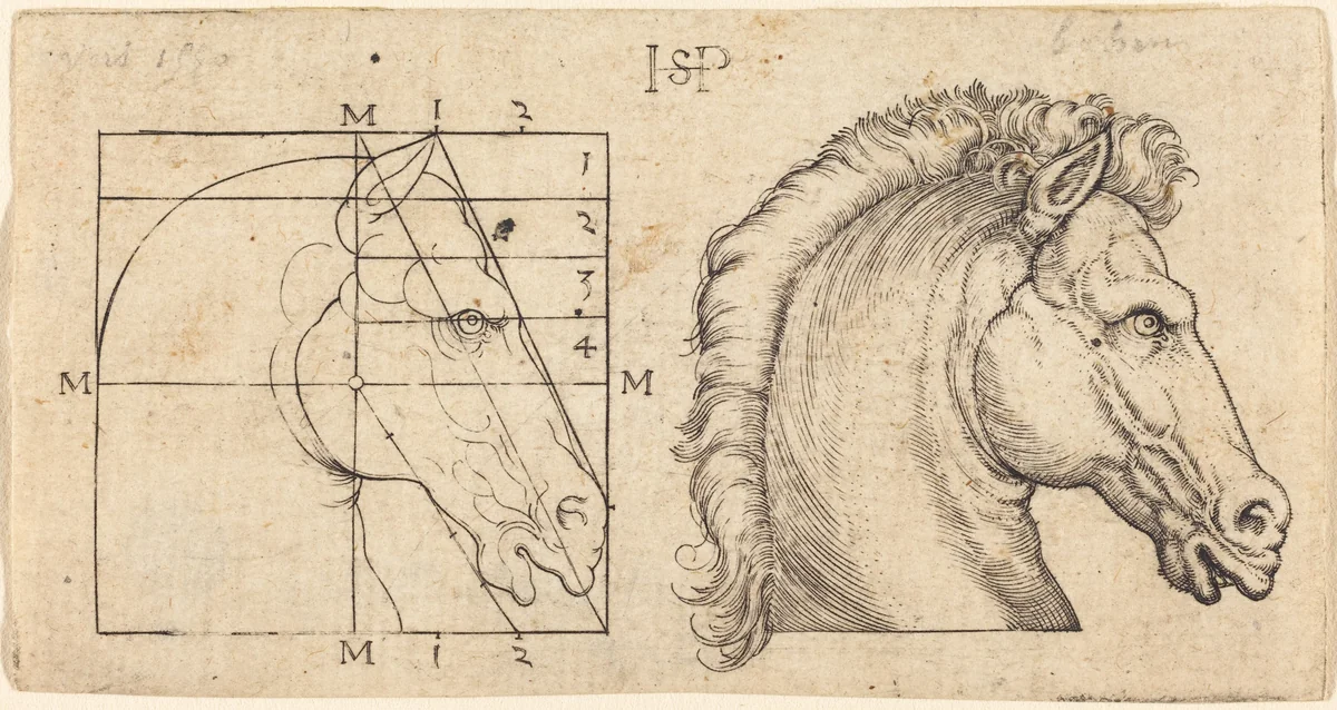 Profile Study of Two Horse Heads by Sebald Beham, print, 1528-1529