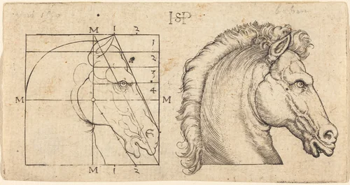 Profile Study of Two Horse Heads by Sebald Beham, print, 1528-1529