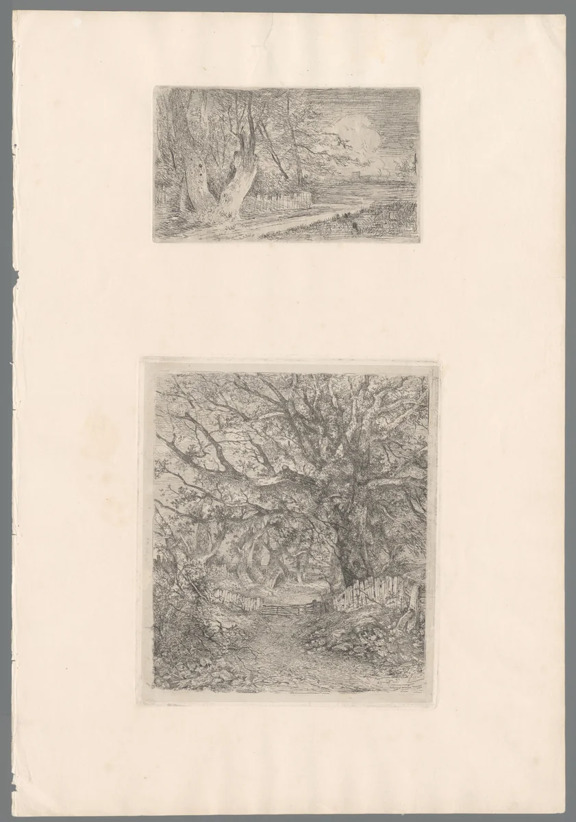 Houten hek over een pad dat tussen bomen doorloopt by John Crome, print, 1813