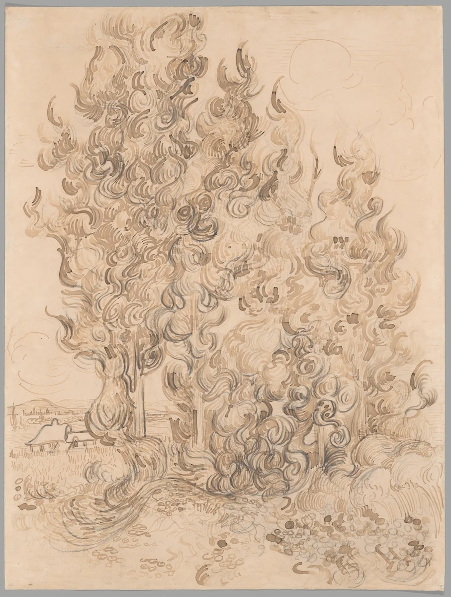 Cypresses by Vincent van Gogh, drawing, 1889