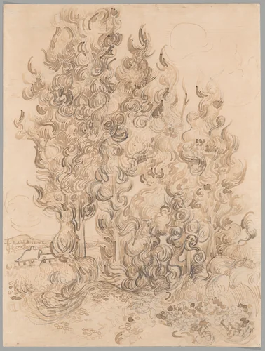 Cypresses by Vincent van Gogh, drawing, 1889