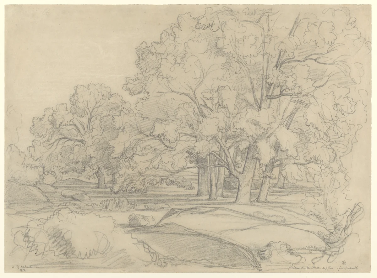 Plateau de la Mare aux Fées (Forest of Fontainebleau) by Théodore Caruelle d' Aligny, drawing, 1854