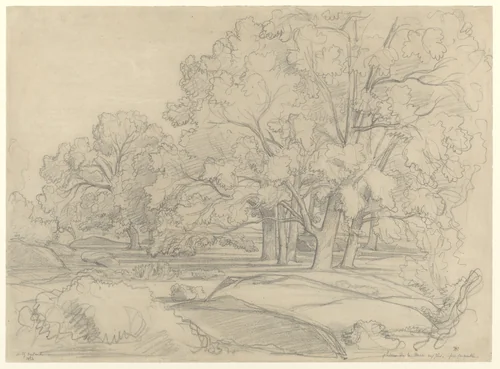 Plateau de la Mare aux Fées (Forest of Fontainebleau) by Théodore Caruelle d' Aligny, drawing, 1854