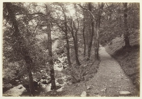 Dolgelley, View in Torrent Walk by Francis Bedford, photograph, 1860-1894
