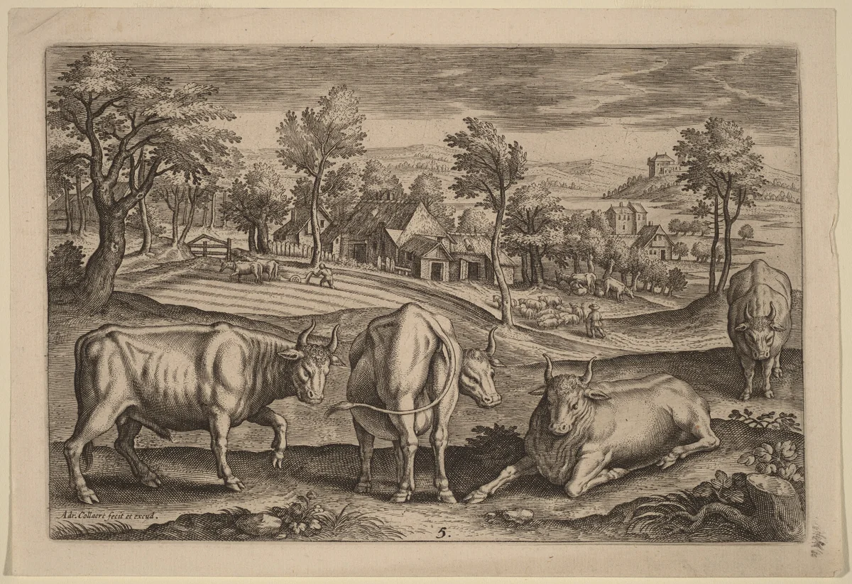 Four Bulls by Adriaen Collaert, print, 1592-1602