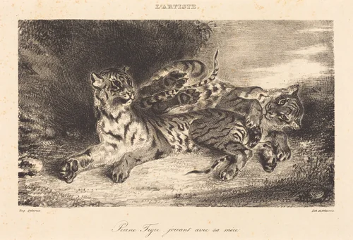 Young Tiger Playing with its Mother (Jeune tigre jouant avec sa mère) by Eugène Delacroix, print, 1831