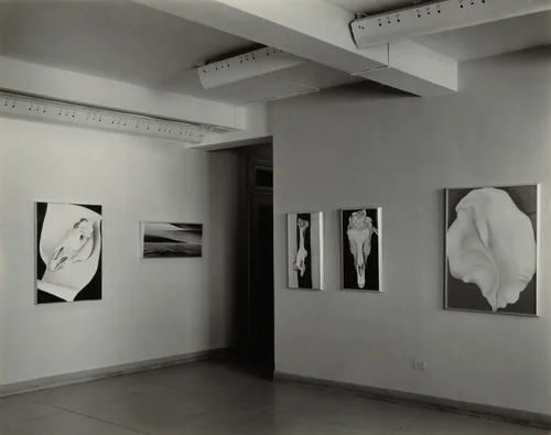 Georgia O'Keeffe—Exhibition at An American Place by Alfred Stieglitz, photograph, 1931-1932