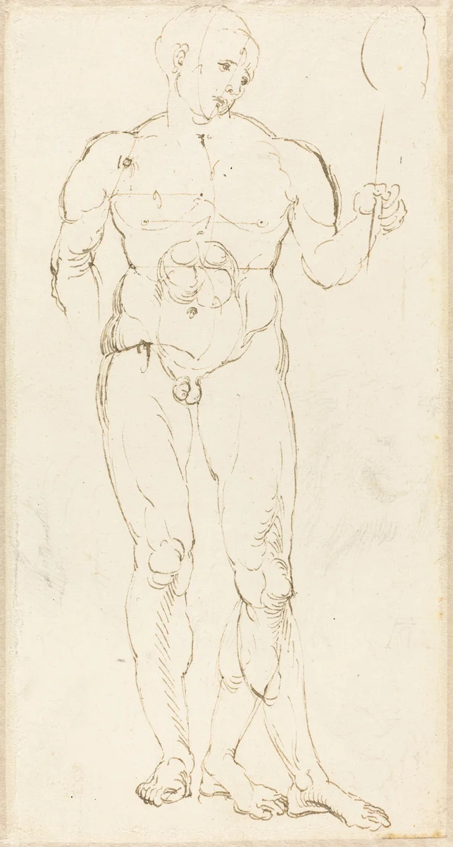 Male Nude Holding a Mirror [recto] by Albrecht Dürer, drawing, 1500