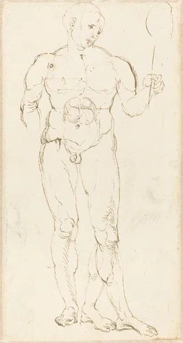 Male Nude Holding a Mirror [recto] by Albrecht Dürer, drawing, 1500