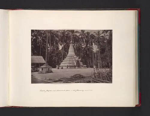 Native Pagoda and Coconut Grove at Penang by John Thomson, photograph, 1865