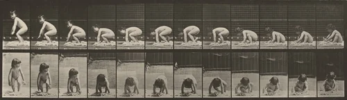 Plate Number 479. Child getting up from the ground by Eadweard Muybridge, photograph, 1887