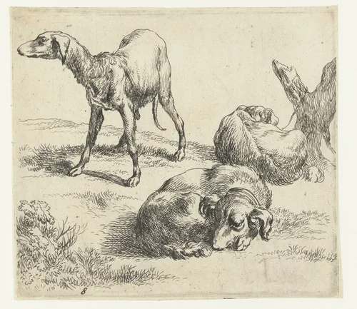 Drie honden by Nicolaes Pietersz Berchem, print, 1648-1652