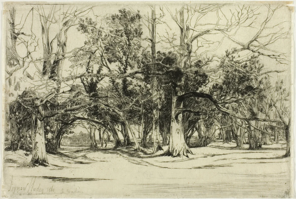 A By-Road in Tipperary by Francis Seymour-Haden, print, 1860