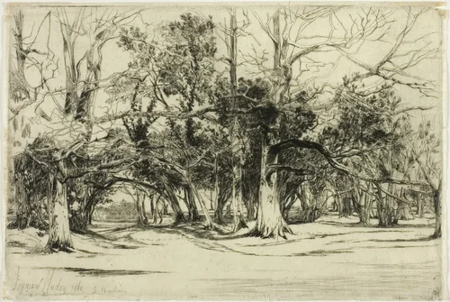 A By-Road in Tipperary by Francis Seymour-Haden, print, 1860