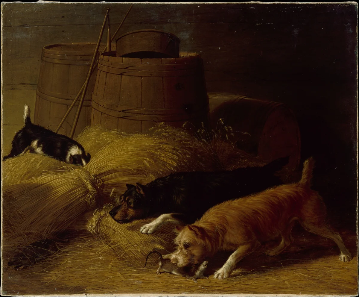 Rats amongst the Barley Sheaves by Thomas Hewes Hinckley, artwork, 1851
