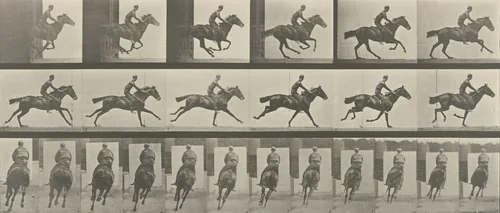 "Bouquet" Galloping, Saddled: Plate 633 from Animal Locomotion (1887) by Eadweard Muybridge, photograph, 1884